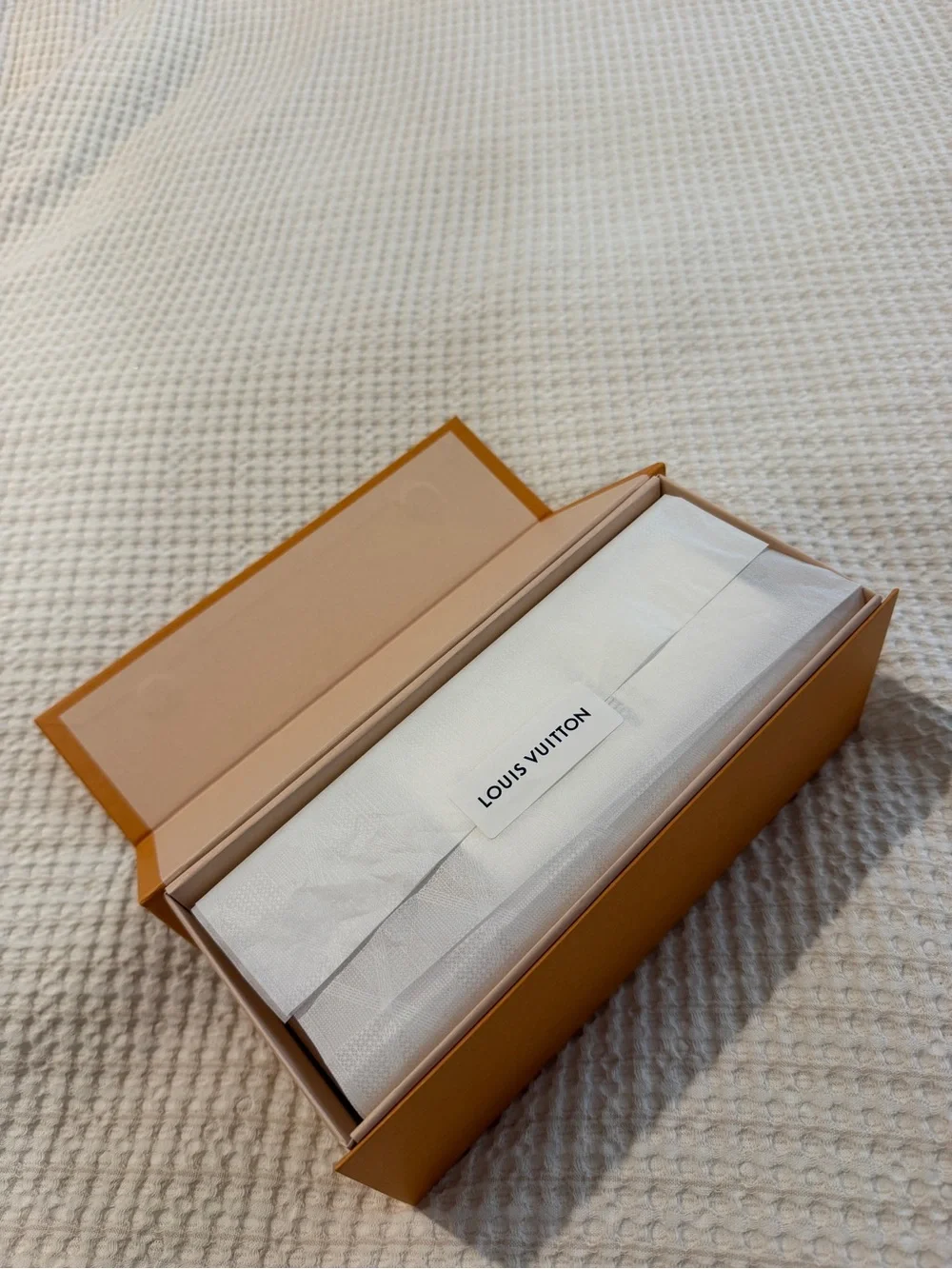 Louis Vuitton designer louis